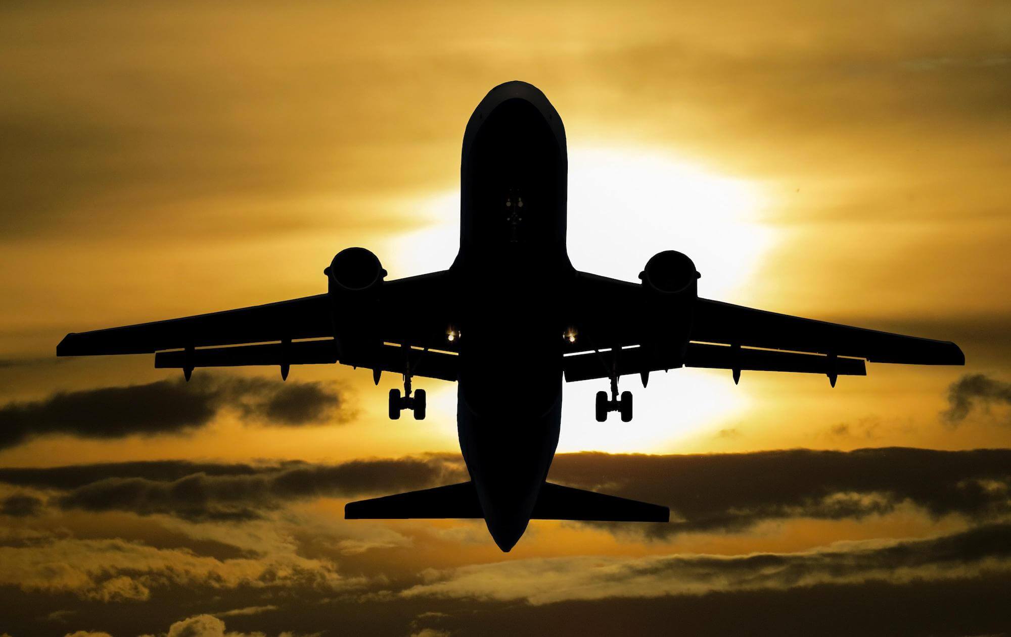 Air France : fin du transport des primates “au plus tard en juin 2023” Animaux passion aircraft 1362586 2 Air France : fin du transport des primates “au plus tard en juin 2023”