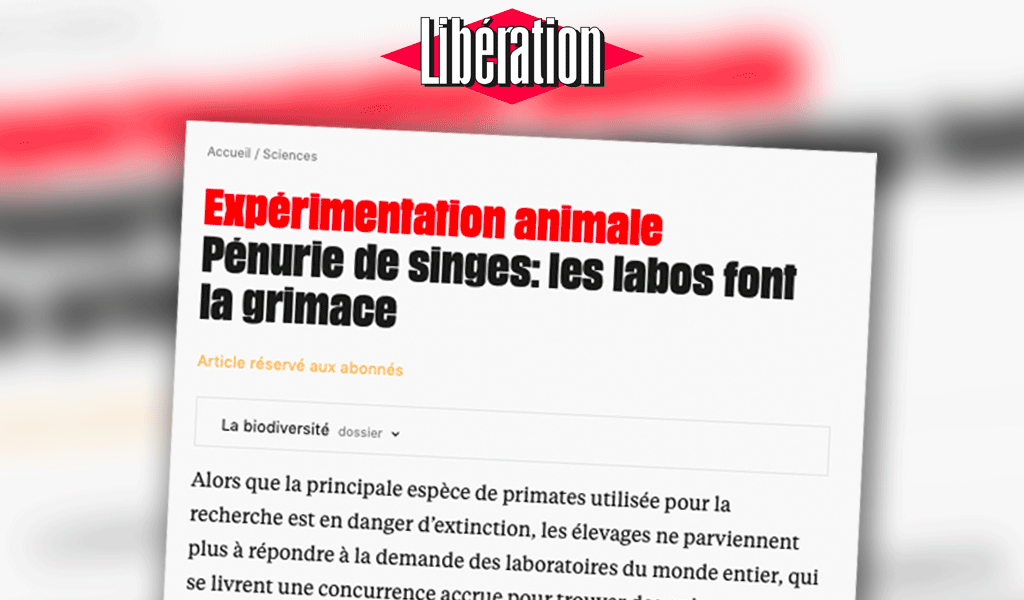 liberation Libération / Expérimentation animale – Pénurie de singes : les labos font la grimace